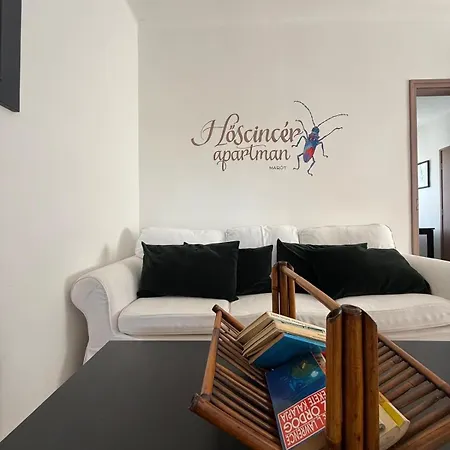 Hoscincer Marot Apartment Pilismarot