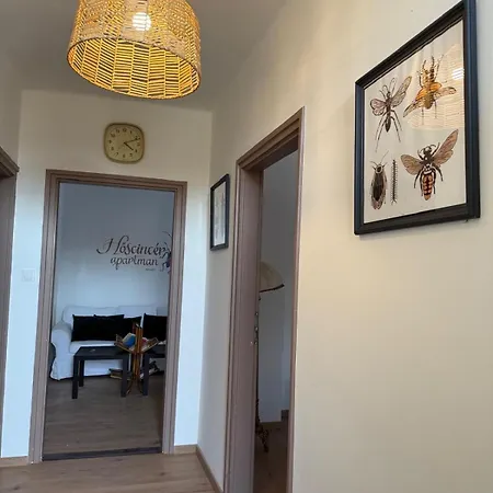 Hoscincer Marot Apartment