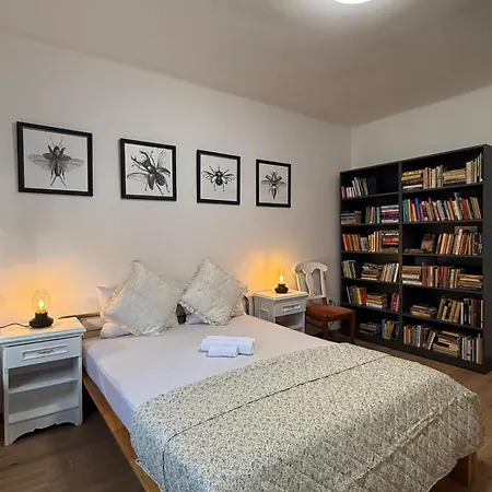 Apartment Hoscincer Marot