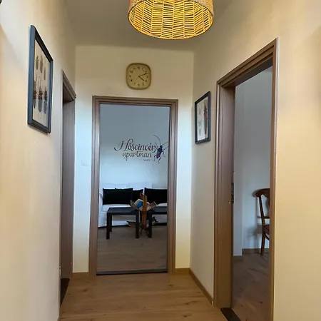 Hoscincer Marot Apartment Pilismarot